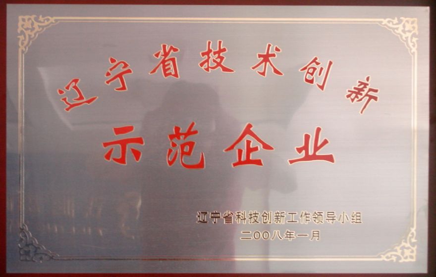 2008省技術(shù)創(chuàng)新示范企業(yè).jpg